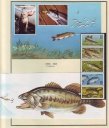 Filename=Fishing_04_0056.JPG
Filesize=1059KiB
Dimensions=1091x1280
Date added=May 17, 2017 Fishing_04_0056.JPG
