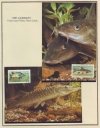 Filename=Fishing_04_0071.JPG
Filesize=933KiB
Dimensions=1006x1280
Date added=May 17, 2017 Fishing_04_0071.JPG