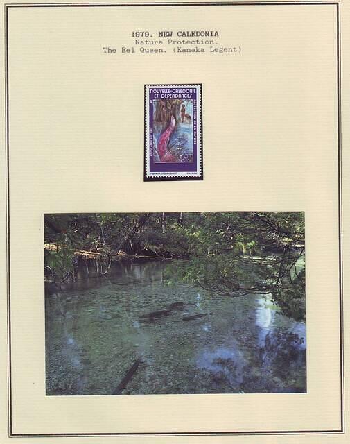 Fishing 04.16