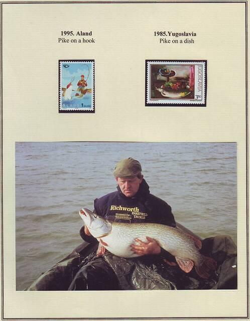 Fishing 04.82