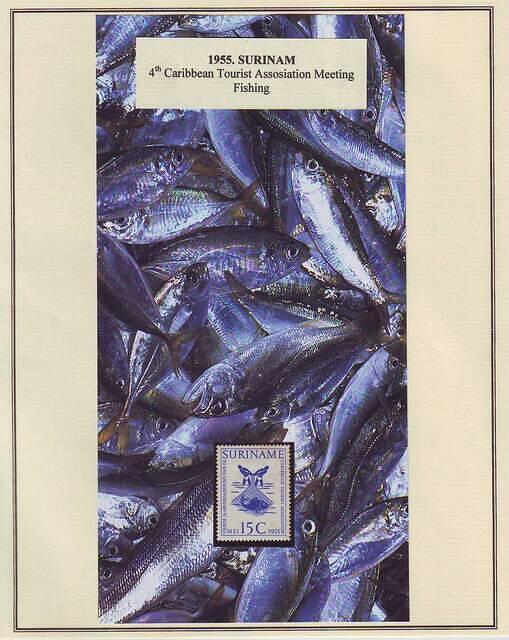 Fishing 01.14