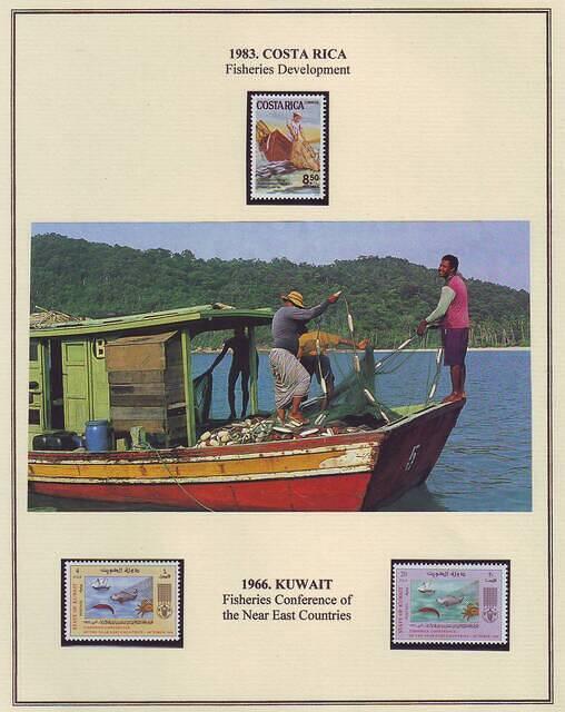 Fishing 01.17