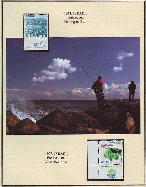 Fishing 11.12