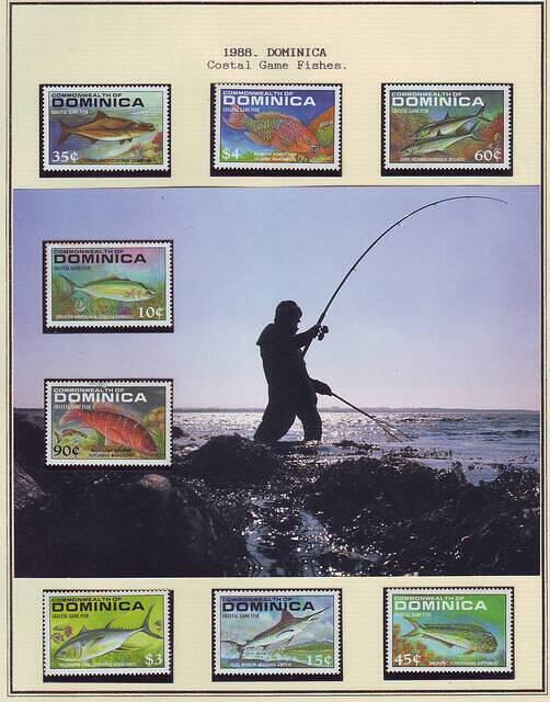 Fishing 11.14