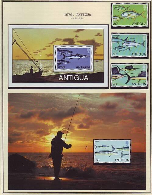 Fishing 11.9