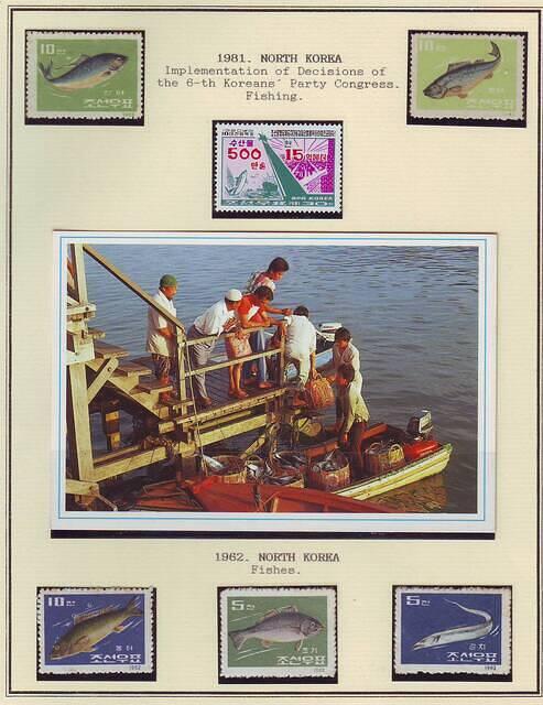 Fishing 17.26