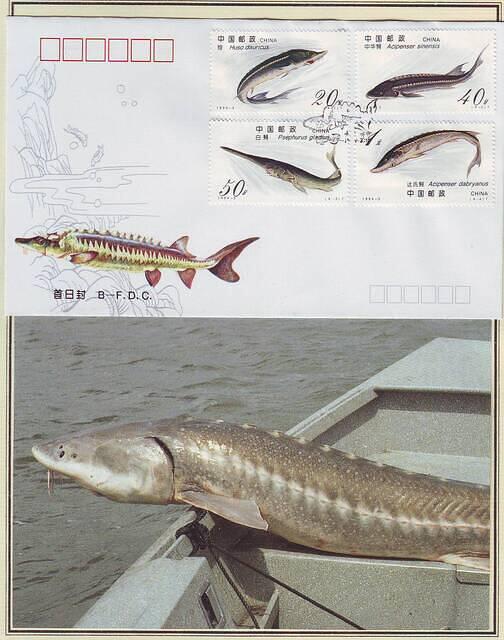 Fishing 17.29