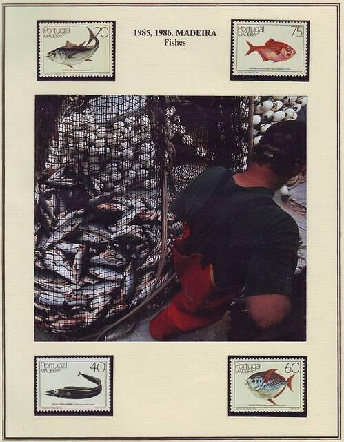 Fishing 17.51