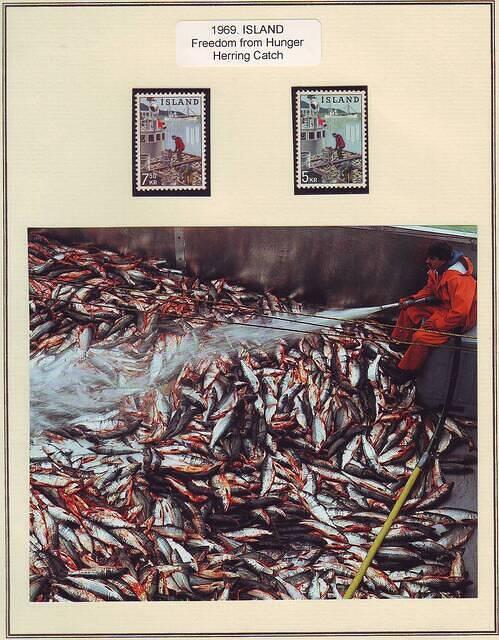 Fishing 17.70