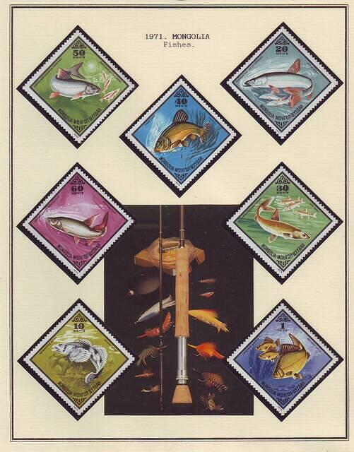 Fishing 05.52