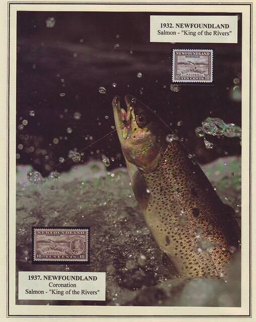 Fishing 05.54