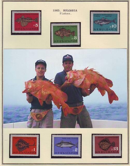 Fishing 08.21