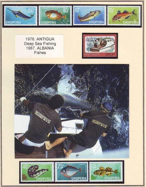 Fishing 08.53