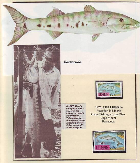 Fishing 08.6