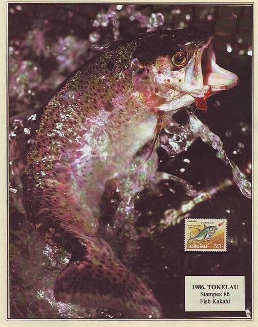 Fishing 03.28