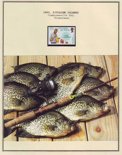 Fishing 03.46