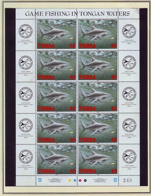 Fishing 10.7