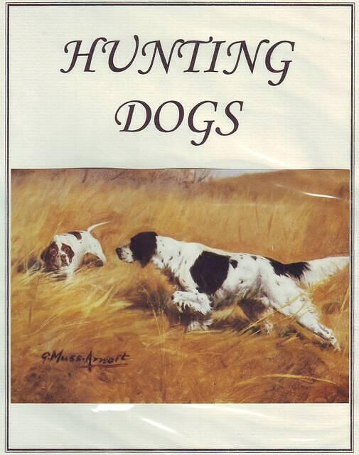 Hunting 10.1