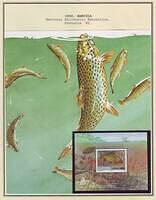 Fishing 04.10