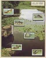 Fishing 04.34