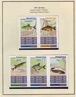 Fishing 04.60