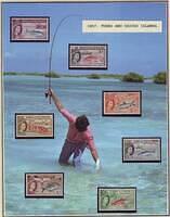 Fishing 11.11