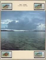 Fishing 11.16