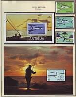Fishing 11.9