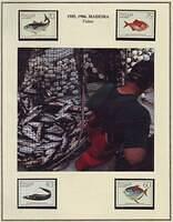 Fishing 17.51