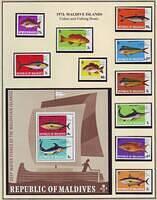 Fishing 15.10