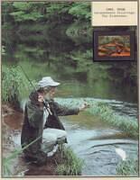Fishing 13.12