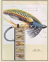 Fishing 05.2