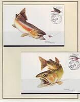 Fishing 05.24