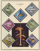 Fishing 05.52