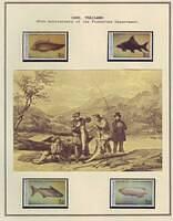 Freshwater Fishing Societies & Champinships