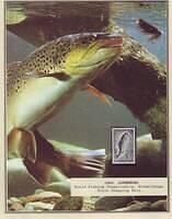 Fishing 06.2