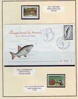 Fishing 06.3