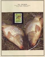 Fishing 06.4