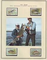 Fishing 06.6