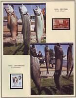 Fishing 08.34