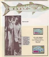 Fishing 08.6