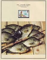 Fishing 03.46
