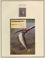 Native Spearing and Shooting Fish