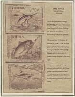 Fishing 10.4