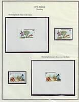Native Hunting & Safari